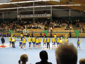 Sverige-Danmark 2008